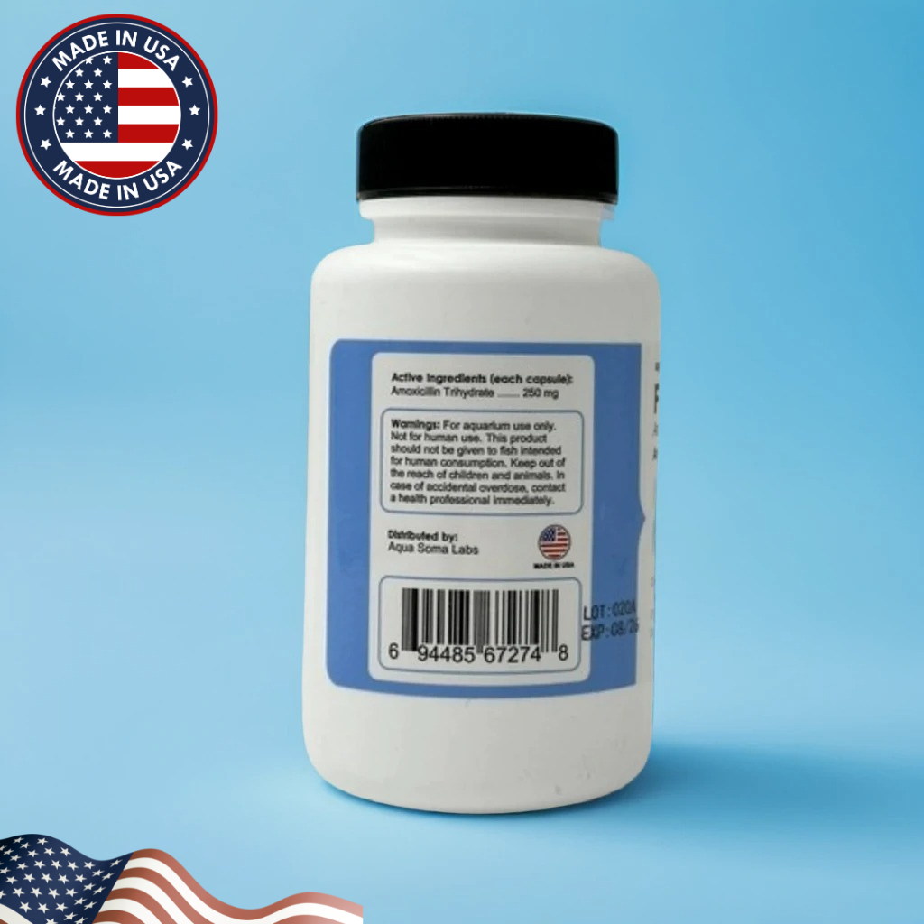 Fish Mox (Amoxicillin) 250 mg – 100 Capsules | Fish Antibiotics for Aquarium Use