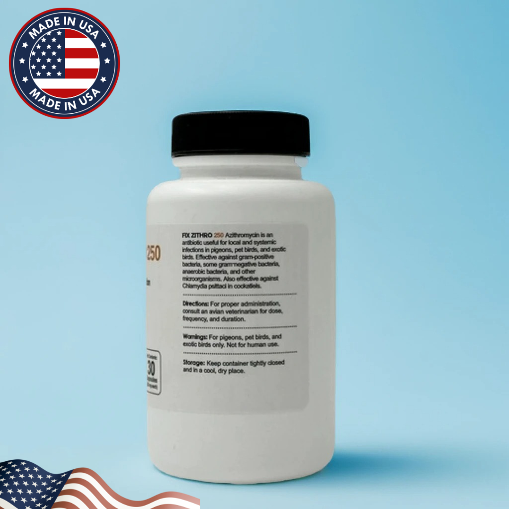 Fish Zithro (Azithromycin) 250mg 12 Tablets Fish Antibiotics